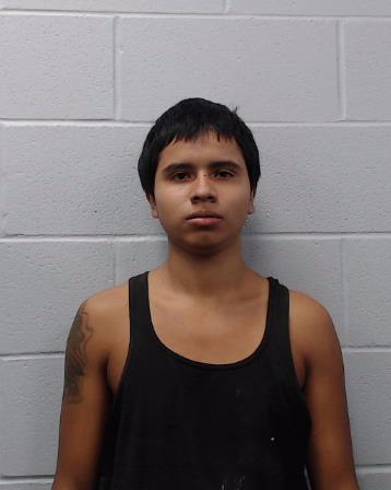 Alvarado, Marco Antonio booking photo