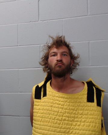 Taylor, Andrew Paul booking photo