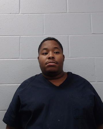 Johnson, Walter Lee booking photo