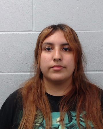 Ortiz, Regina Renee booking photo