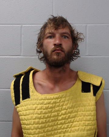 Taylor, Andrew Paul booking photo