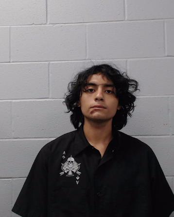 Vitales, Ricardo Apoloino booking photo