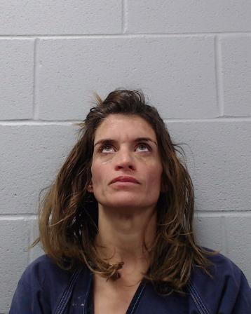 Akhavan, Karina Zavan booking photo