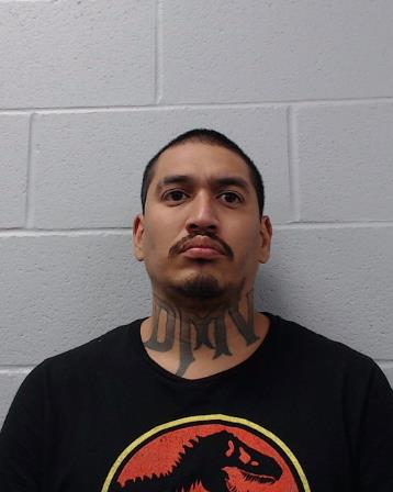 Gonzalez, David booking photo