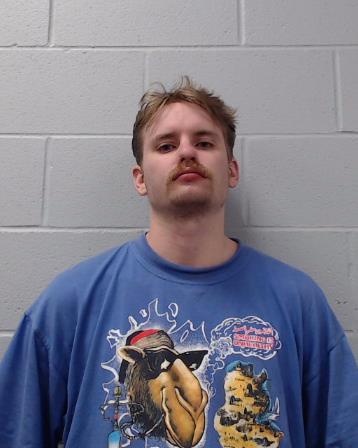 Wilson, Nicholas James arrested by Hays County SO/PD