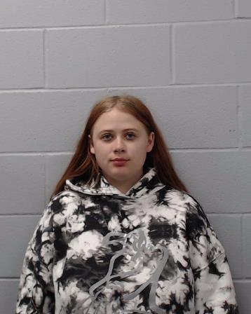 Hudson, Brooklyn Frances booking photo