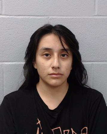 Castillo, Marisol Dolores arrested by Hays County SO/PD