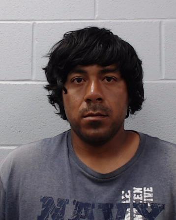 Arce, Amadeo Guillermo arrested by Hays County SO/PD