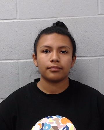 Cruz-Huamani, Claudia Aide arrested by Hays County SO/PD