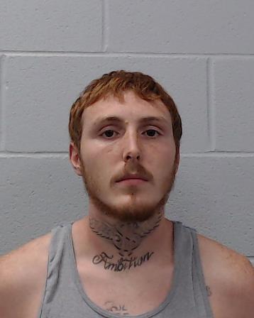 Howald, Michael James arrested by Hays County SO/PD