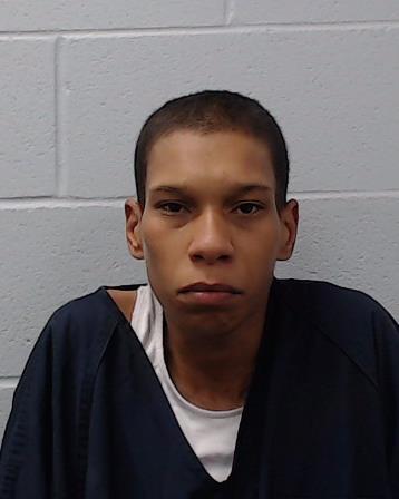 Reeves, Robin Rebecca booking photo