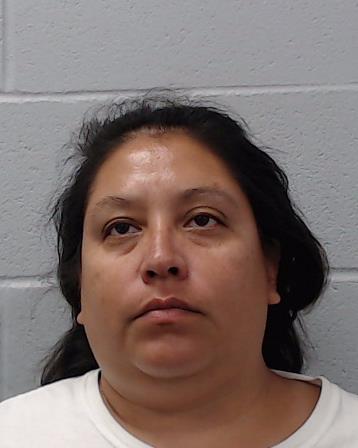 Pineda, Rebecca Ann arrested by Hays County SO/PD