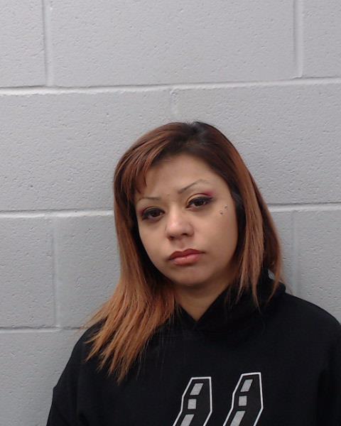 Gonzales, Brittany Nicole booking photo