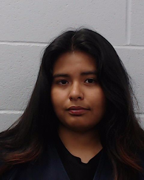 Tena, Vanessa Isabella booking photo