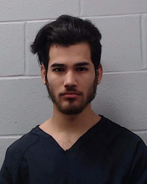 Bueno Delgado, Yoham Manuel booking photo