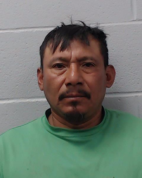 Herrera, Adelfo booking photo