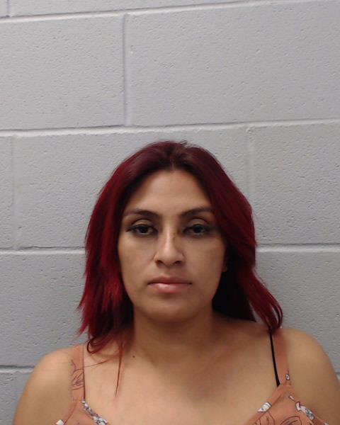 Patlan, Maria De La Luz booking photo