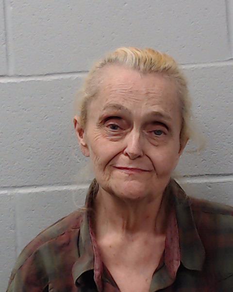 Nicholson, Lesley Ann booking photo