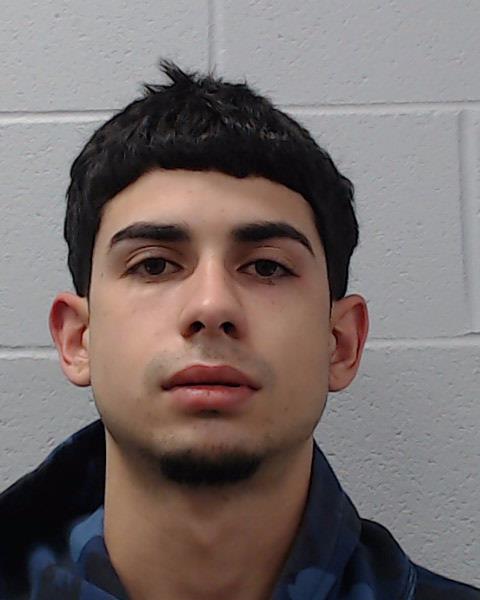 Hernandez Petit, Diego Andres booking photo