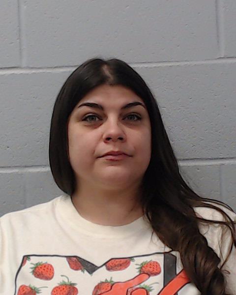 Villarreal, Janet Lee booking photo