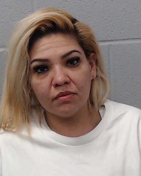 Vasquez, Denise Ann booking photo