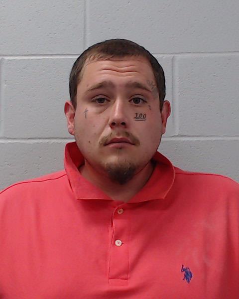 Pannell, Cameron Alexander arrested by Hays County SO/PD