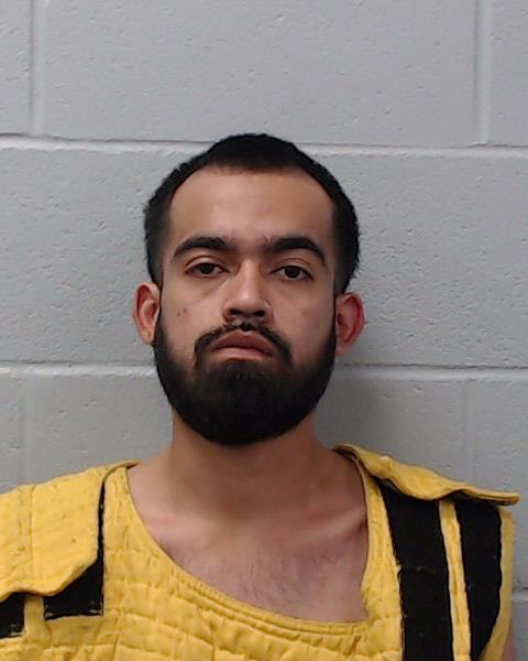Torres, Luis Fabian arrested by Hays County SO/PD