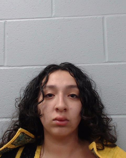 Pena, Royana Rosa arrested by Hays County SO/PD