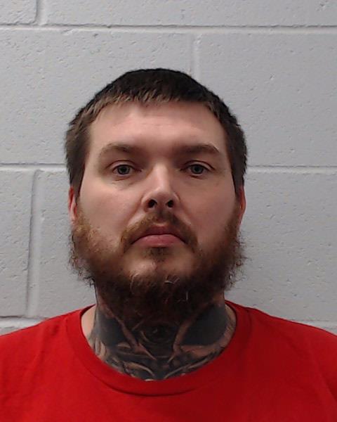 Godwin, David Allen arrested by Hays County SO/PD