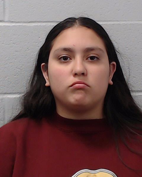 Lambert, Anastasia Ilene Gonzalez arrested by Hays County SO/PD