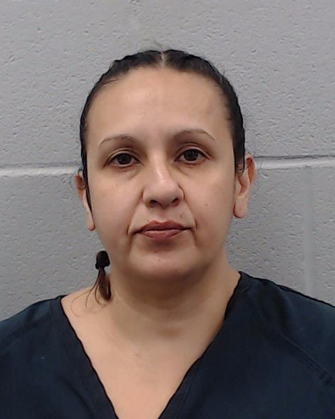 Gonzalez, Liza Marie booking photo