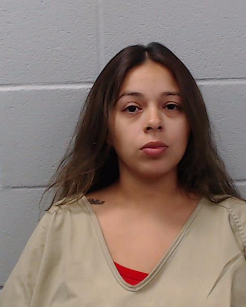 Lerma, Priscilla Lee booking photo