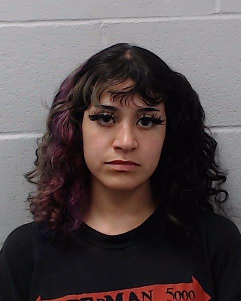Gonzalez, Breanna Rene booking photo