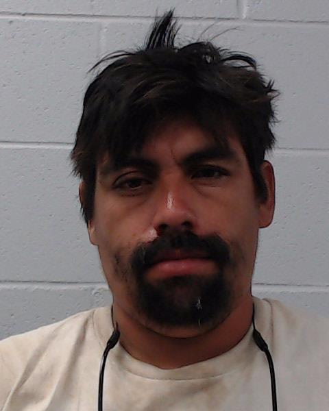 Silva Vargas, Isidro booking photo