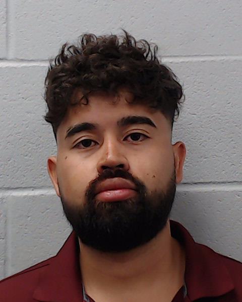 Abarca Silva, Irving Jesus booking photo