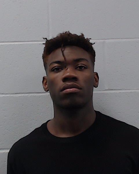 Ellis, Dametrisse D Shawn booking photo