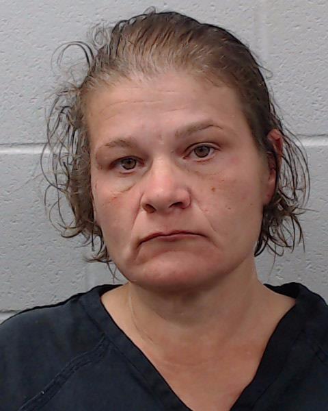 Davidson, Brandi Nicole booking photo