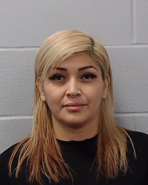 Ysla, Leeann Beatrice booking photo