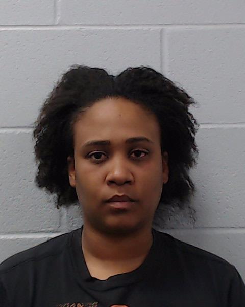 Mintz, Victoria Elizabeth booking photo