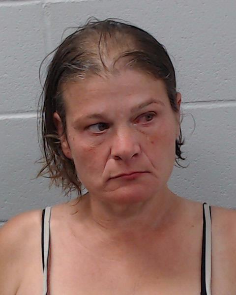 Davidson, Brandi Nicole arrested by Hays County SO/PD