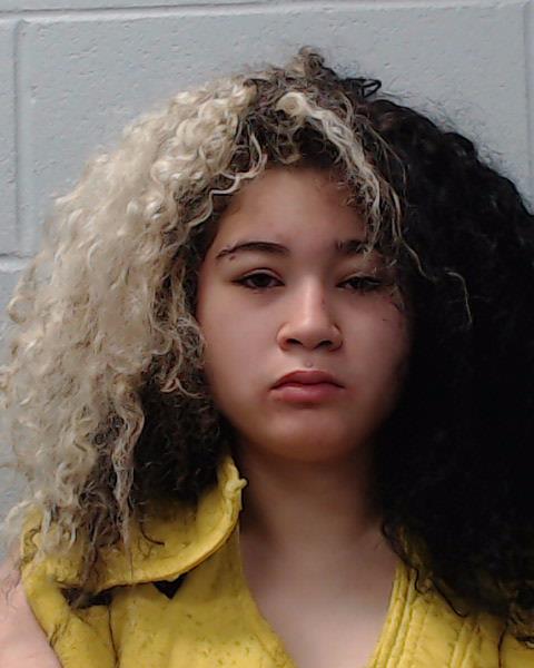 Williams, Mireya Sandra booking photo