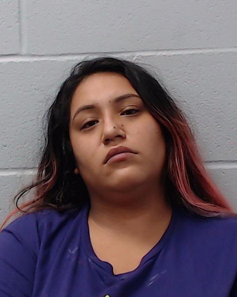 Castillo, Julianna Renee booking photo