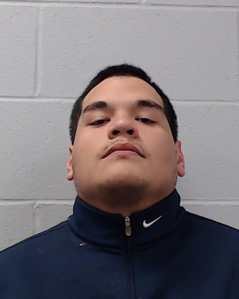 De Los Santos, Diego Antonio booking photo