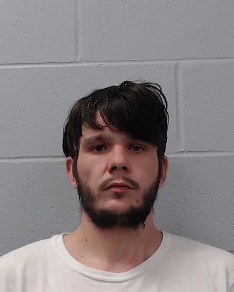 Hendricks, Saxon Lee booking photo