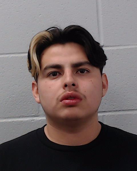 Luna, Daniel Jade booking photo