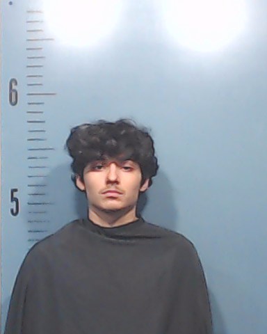 AMEZCUA, DAVID booking photo