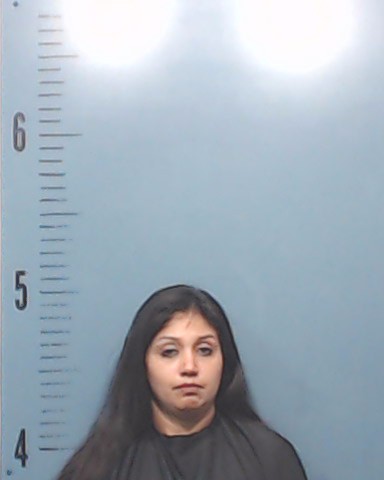 Romero, Jessica Marie booking photo