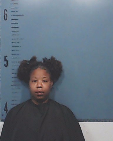 Pipkins, Davidra Nicole booking photo
