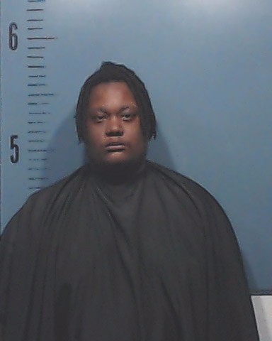 Williams, Camon Deandre booking photo