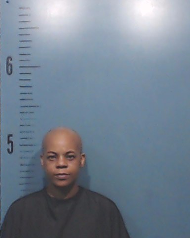 Cummings, Janee L booking photo